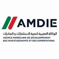 AMDIE